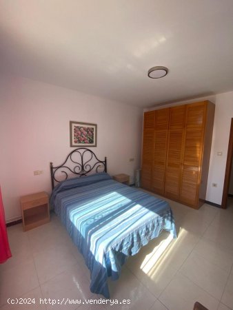 Apartamento en alquiler en Granada (Granada)