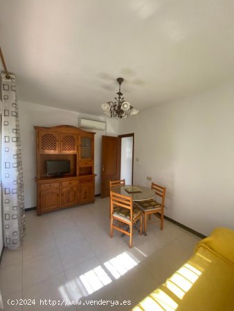 Apartamento en alquiler en Granada (Granada)