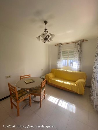 Apartamento en alquiler en Granada (Granada)