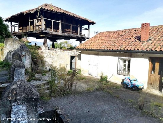 Casa en venta en Oviedo (Asturias)