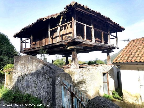 Casa en venta en Oviedo (Asturias)