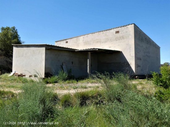  Finca en venta en Caspe (Zaragoza) 