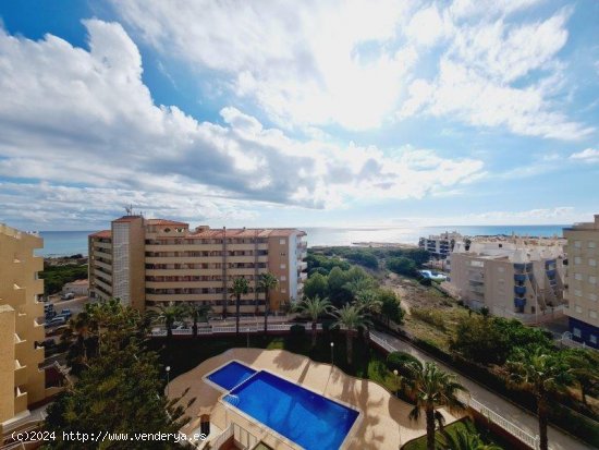  Apartamento en venta en Torrevieja (Alicante) 