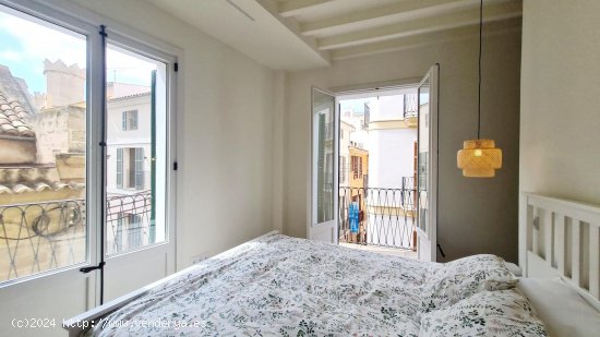 Apartamento en alquiler en Palma de Mallorca (Baleares)