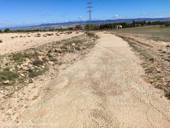 PARCELA EN LOS CABEZOS- IDEAL PARA CONSTRUIR TU CHALET - ALBACETE