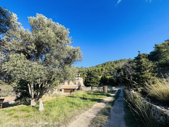 Finca en alquiler en Esporles (Baleares)