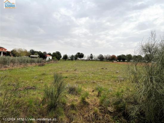 TERRENO EN VENTA POR LA LOCALIDAD DE MENGABRIL - BADAJOZ