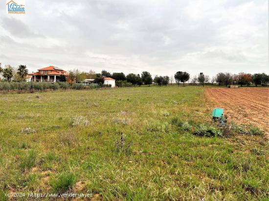 TERRENO EN VENTA POR LA LOCALIDAD DE MENGABRIL - BADAJOZ