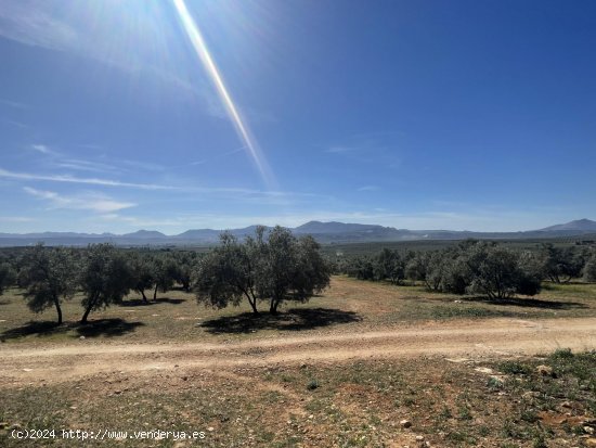  Parcela en venta en Mollina (Málaga) 