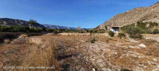 TERRENO RUSTICO EN ORXETA - ALICANTE