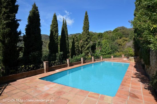 Finca en venta en Casares (Málaga)