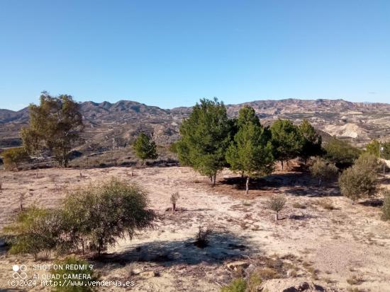 Casa con terreno para reformar - MURCIA