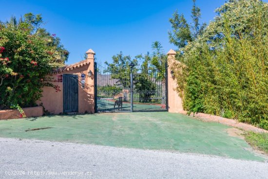 Casa en alquiler en Mijas (Málaga)