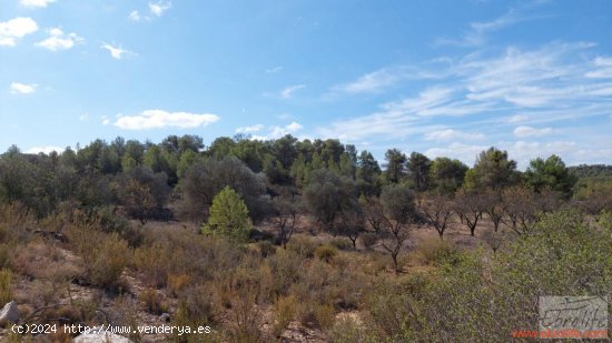 Finca en venta en Nonaspe (Zaragoza)