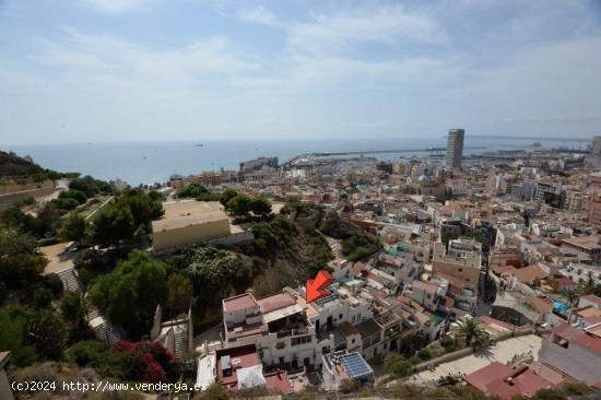 Apartamento Casco Antiguo - ALICANTE