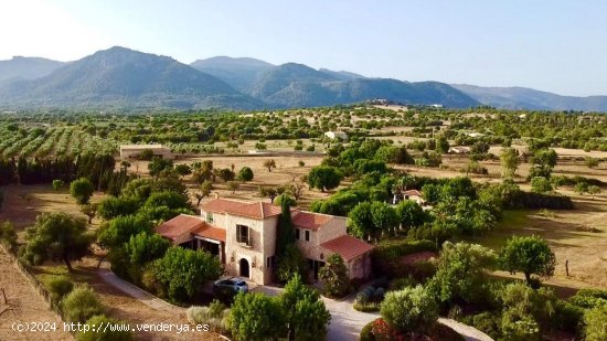 Finca en venta en Selva (Baleares)