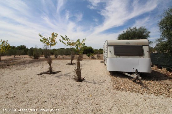 Solar en venta en Elche (Alicante)