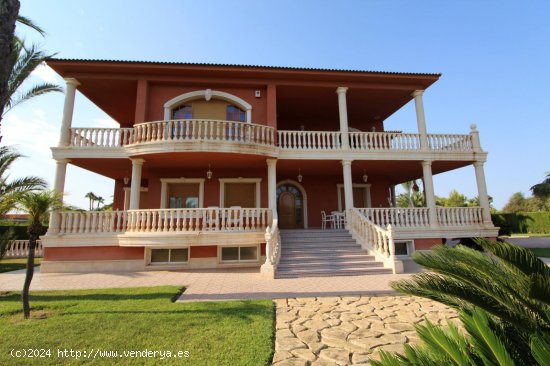 Finca en venta en Elche (Alicante)