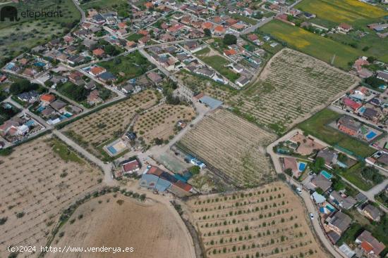 TERRENO URBANO EN ESCALONA - TOLEDO