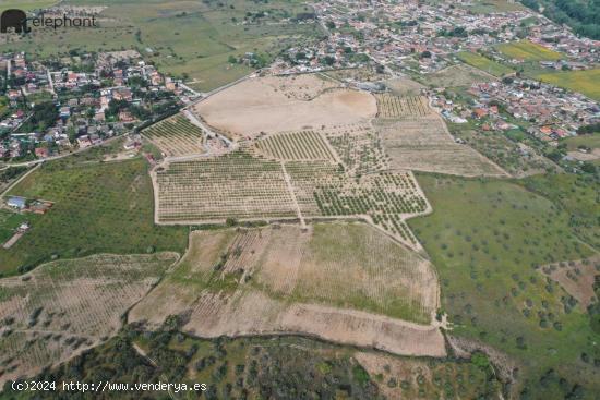 TERRENO URBANO EN ESCALONA - TOLEDO