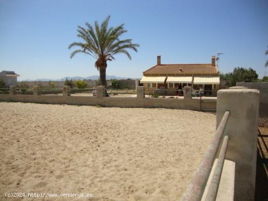 Finca en venta en Santa Pola (Alicante)