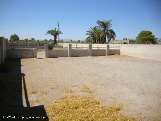 Finca en venta en Santa Pola (Alicante)