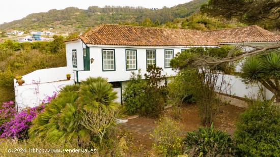 CASA CANARIA CON FINCA RUSTICA, TEGUESTE - SANTA CRUZ DE TENERIFE