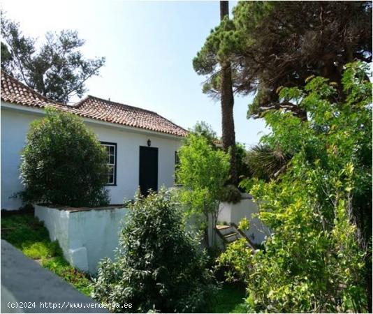 CASA CANARIA CON FINCA RUSTICA, TEGUESTE - SANTA CRUZ DE TENERIFE