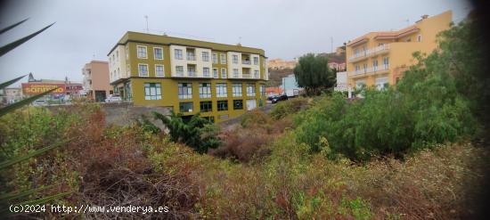 TERRENO URBANO CONSOLIDADO EN ICOD DE LOS VINOS - SANTA CRUZ DE TENERIFE