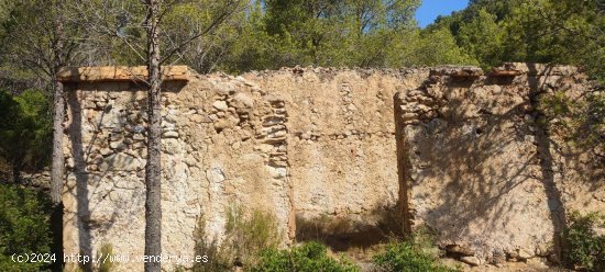 Solar en venta en Vandellòs (Tarragona)