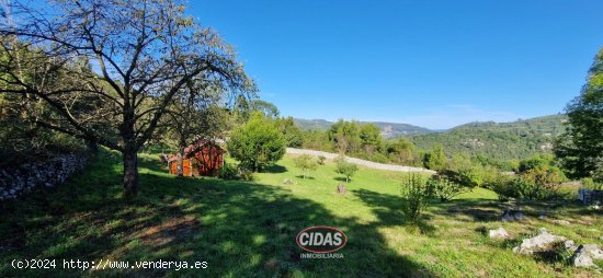  Finca en venta en Oviedo (Asturias) 