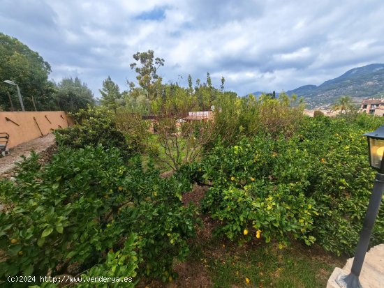 Finca en venta en Sóller (Baleares)