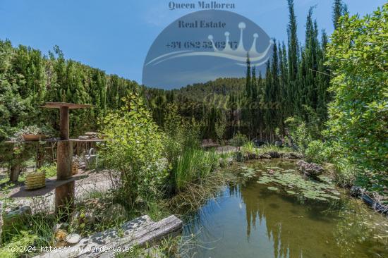 Hermosa finca rústica en Puigpunyent - BALEARES