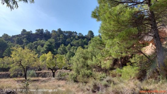  Finca en venta en Fuentespalda (Teruel) 