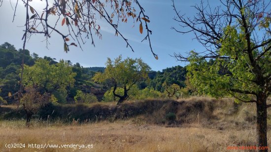 Finca en venta en Fuentespalda (Teruel)