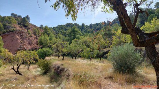 Finca en venta en Fuentespalda (Teruel)