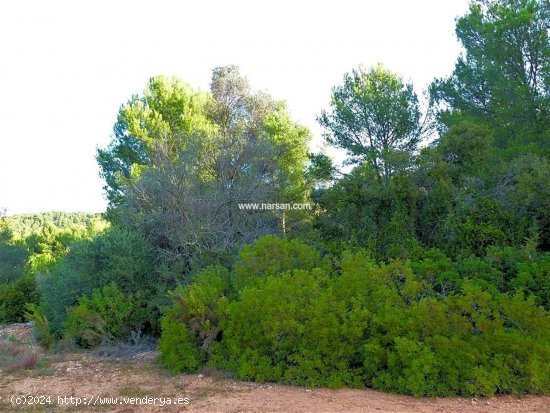 Finca en venta en La Pobla Tornesa (Castellón)