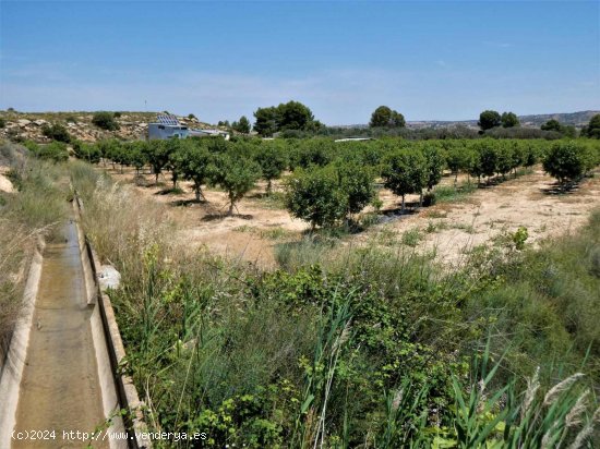 Finca en venta en Caspe (Zaragoza)