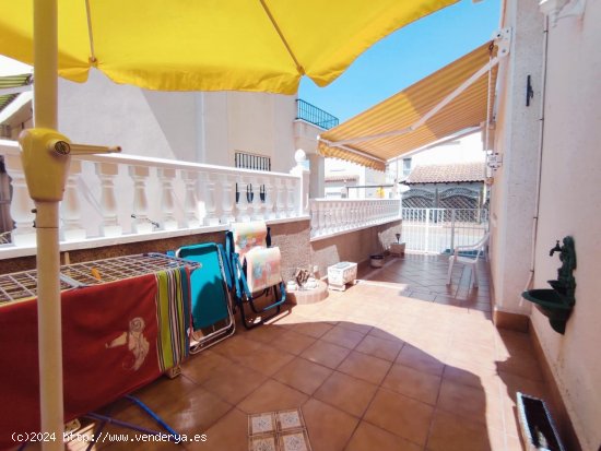 Casa en venta en Guardamar del Segura (Alicante)