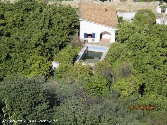  Finca en venta en Alozaina (Málaga) 