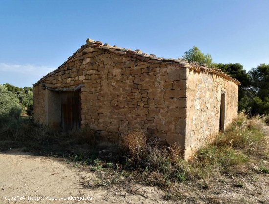 Finca en venta en Maella (Zaragoza)