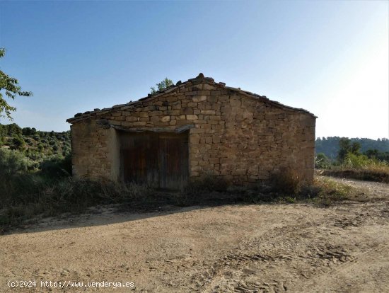 Finca en venta en Maella (Zaragoza)