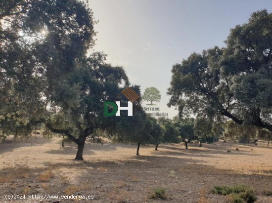 Solar en venta en Cáceres (Cáceres)