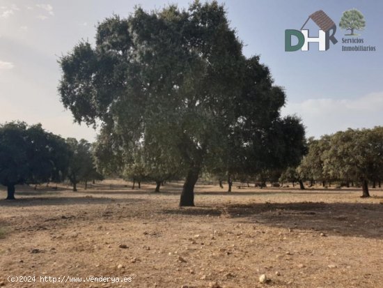 Solar en venta en Cáceres (Cáceres)