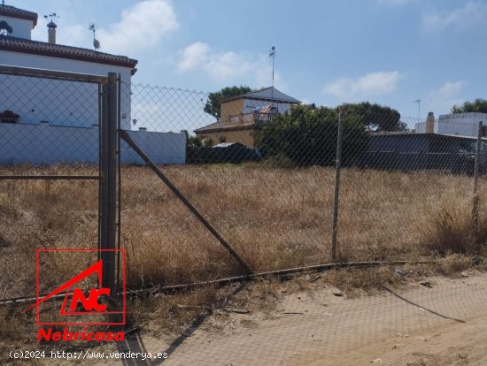 Finca en venta en Chipiona (Cádiz)