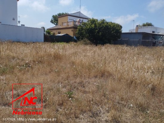 Finca en venta en Chipiona (Cádiz)