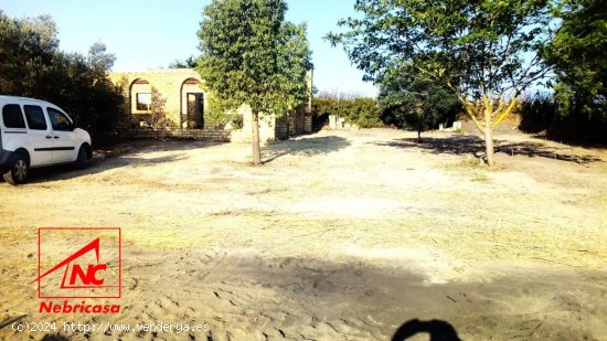 Finca en venta en Lebrija (Sevilla)