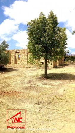 Finca en venta en Lebrija (Sevilla)