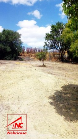 Finca en venta en Lebrija (Sevilla)