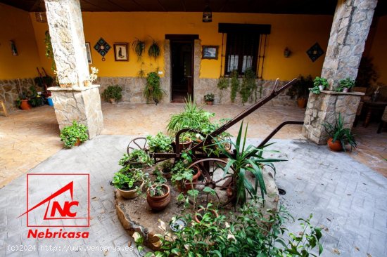 Finca en venta en El Cuervo de Sevilla (Sevilla)